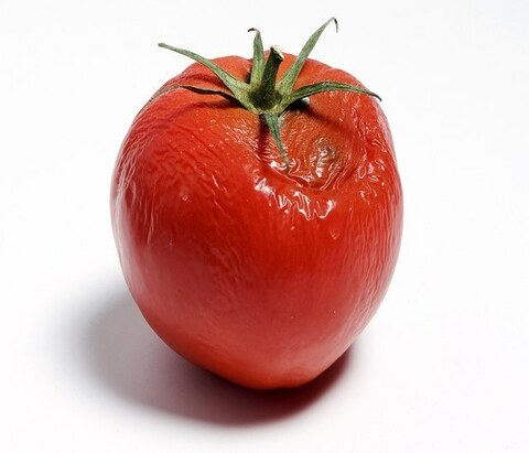 Frozen Broken Tomatoes
